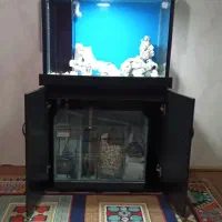 آکواریوم سامپ دار آبشور|ماهی|رباط‌کریم, شهرک والفجر|دیوار