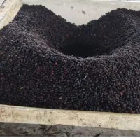روغن زیتون رودبار ارسال هم داریم