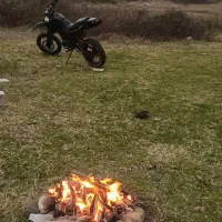 تریل مزایده