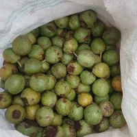گردو|خوردنی و آشامیدنی|بهار, |دیوار