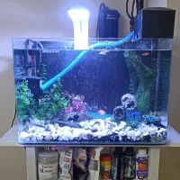 آکواریوم شیشه خم شرکتی ماهیران