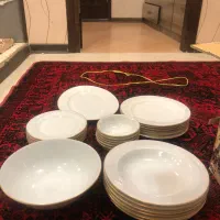 سرویس چینی نو پلم