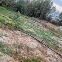فروش فسیل مضافتی