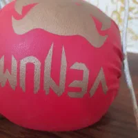دستکش بوکس نوع|تجهیزات ورزشی|شوشتر, |دیوار