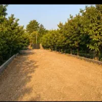 زمین-قبچاق-بیدگنه-ملارد