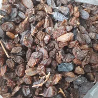 کشمش آفتابی