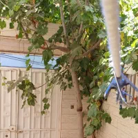منزل ویلایی دربست