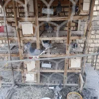 کبوتر دمگیر خرقه