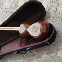 تار یک مهر کشاورز|سازهای سنتی|اصفهان, بهارستان|دیوار