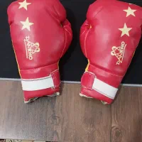 دستکش بوکس|تجهیزات ورزشی|خلخال, |دیوار