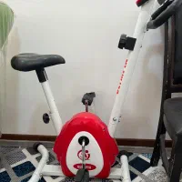 دوچرخه ثابت