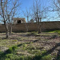 زمین شهرکی ۲۵۰ متر کردان(خود کردان نه اطراف)|فروش زمین و ملک کلنگی|کرج, برغان|دیوار