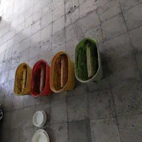 گلدان بزرگ متوسط کوچک|گل و گیاه طبیعی|تهران, بهداشت|دیوار