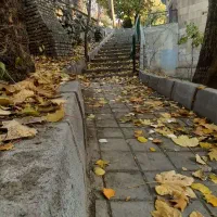 شیان-2400متر-3-قطعه-زمین-معاوضه