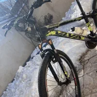 دوچرخه ویوا