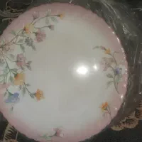 پلوخوری فرانسه مدل الیز