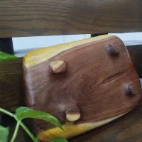 میوه خوری چوبی روستیک|صنایع دستی و سایر لوازم تزئینی|صباشهر, |دیوار