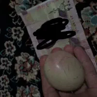 سنگ آسیاب الماس «اصل»|کلکسیون اشیاء عتیقه|همدان, |دیوار