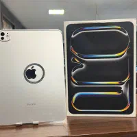 آیپد اپل iPad por11inch M4 256