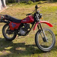 تریلxL مدل ۸۴|موتورسیکلت|ماسال, |دیوار