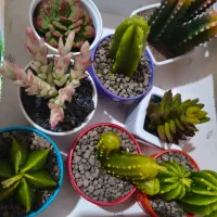 گلدان دکوری و تزئینی خمیر گل شمع