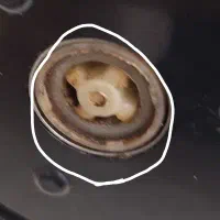 خردکن سولینگن|خردکن، آسیاب، غذاساز|تهران, شهران جنوبی|دیوار