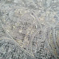 شناسنامه گم شده