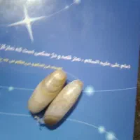 مهره|کلکسیون اشیاء عتیقه|رامهرمز, |دیوار