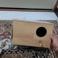 لانه پرنده|پرنده|تهران, بهمن یار|دیوار