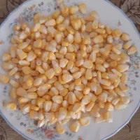 ذرت اعلا|خوردنی و آشامیدنی|قم, باسکول|دیوار