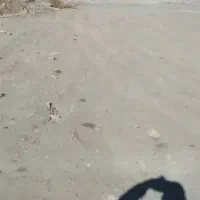 یک تیکه زمین واسه اجاره