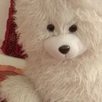 عروسک خرس یک متری