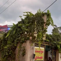 خانه مسافر وسوئیت مهدی، آبشار لوه استان گلستان|اجارهٔ کوتاهمدت آپارتمان و سوئیت|صادق آباد, |دیوار