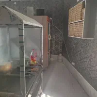 فروش یخچال و فر ۶ کاره با محتویات داخل تصاویر