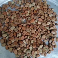 فروش باقلواخشک شده