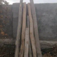 قطع انواع درخت  چوب سقف و پالت