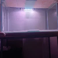 آکواریوم شیشه خم ده میل