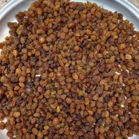 کشمش درگز|خوردنی و آشامیدنی|مشهد, توس فردوسی|دیوار