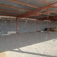 گاوداری فروشی/مجتمع نسیم/فول امکانات|فروش دفتر صنعتی، کشاورزی، تجاری|تربت جام, میان جام|دیوار