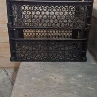 سبد میوه