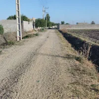 زمین باغچه۵۰۰متری برقدار کوچه مرواریدبنجعفر