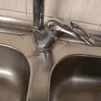 شیر در حد نو هست