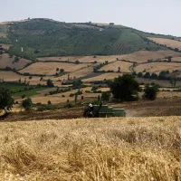 فروش زمین مسکونی،زمین کشاورزی