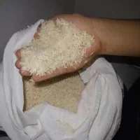 برنج کامفیروز وهاشمی