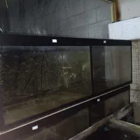 شیشه خالی|فروشگاه و مغازه|تالش, هشتپر|دیوار