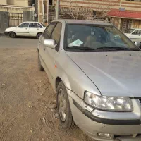 سمند نقره ای