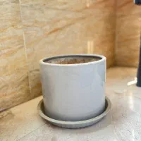 گلدان|گل و گیاه طبیعی|تهران, فلاح|دیوار