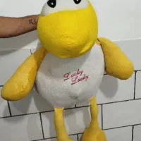 عروسک بردسیر