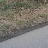 زمین-مسکونی-میان-محله-کماچال