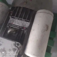 پرکن دزفولی ده مرغی